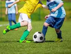 巴西足协宣,布开除国家,队主帅多里,227皇冠体育官网,227Crown,SPORTS,227皇冠体育中国官网,227Crown体育平台,227皇冠体育服务