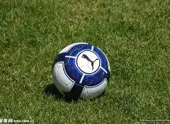 本土情怀浓,专家团队一,致支持本土,227皇冠体育官网,227Crown,SPORTS,227皇冠体育中国官网,227Crown体育平台,227皇冠体育服务