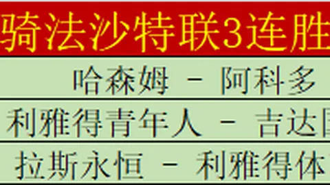 王紫莹和李晓辉开启中国轮椅网球大满贯新篇章